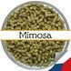 Хміль Mimosa CZ - 50g Mimosa CZ 50g фото 1