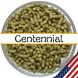 Хміль Centennial US - 50g Centennial US 50g фото 1